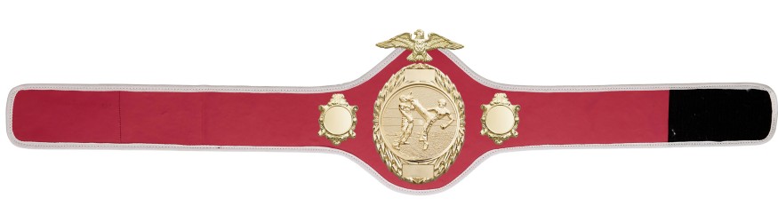 KICKBOXING CHAMPIONSHIP BELT-PRO288/G/KBOG - 10 COLOURS KICKBOXING CHAMPIONSHIP BELT-PRO288/G/KBOG - 10 COLOURS